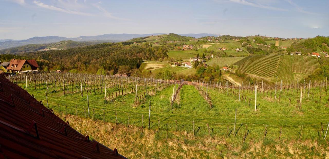 Ferienhaus Haring Kitzeck im Sausal Zewnętrze zdjęcie