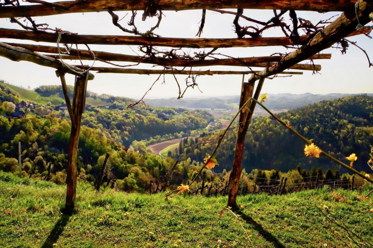 Ferienhaus Haring Kitzeck im Sausal Zewnętrze zdjęcie